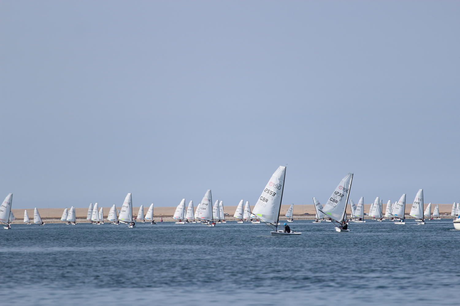 IMG_4317.JPG